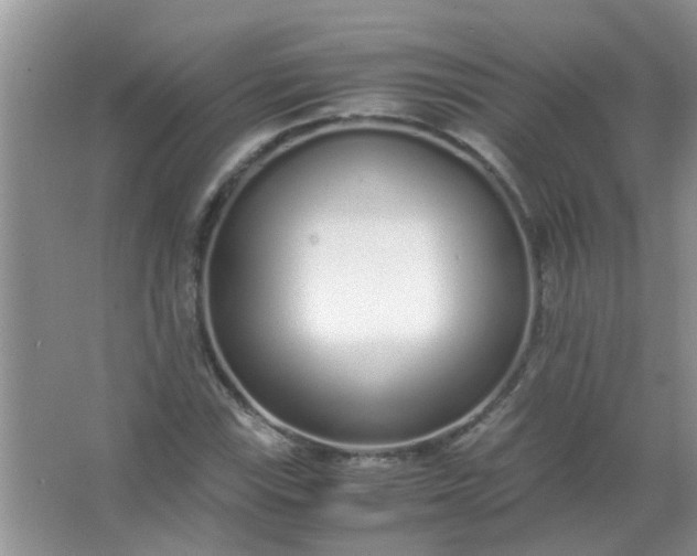 X0000067001115200604072142