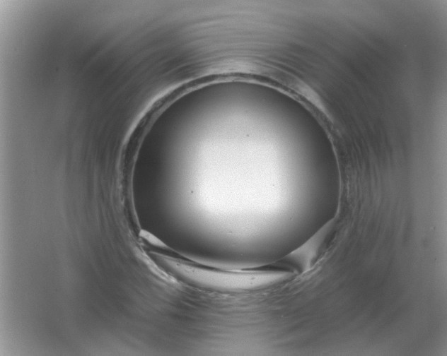 X0000067001116200604072142