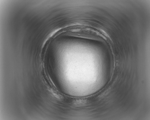 X0000067001117200604072142