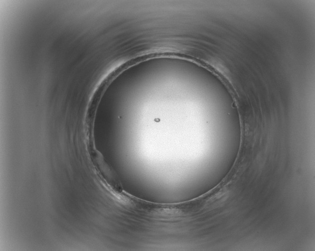 X0000067001119200604072142