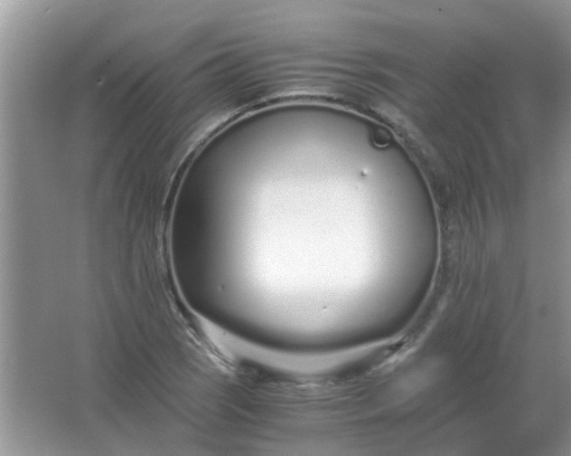 X0000067001121200604072142