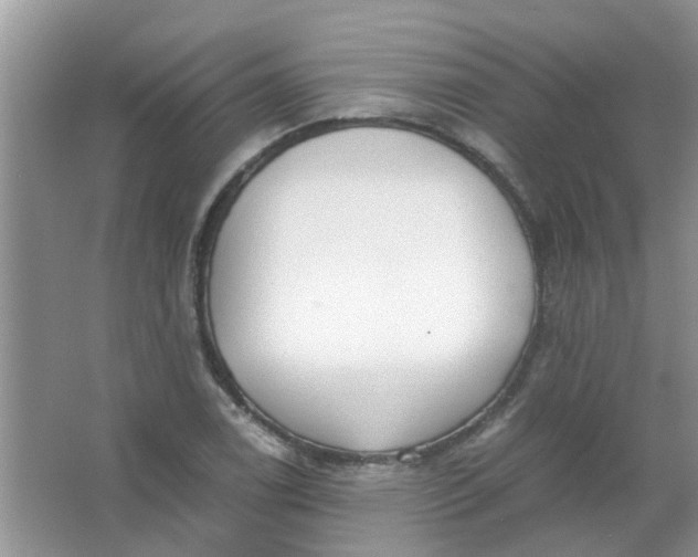 X0000067001122200604072142