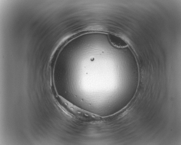 X0000067001123200604072142