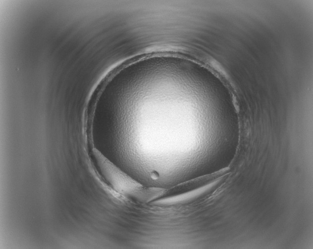 X0000067001124200604072142