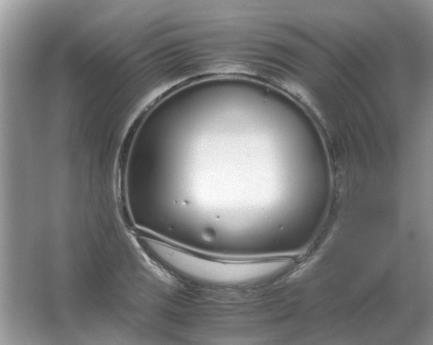 X0000067001125200604072142