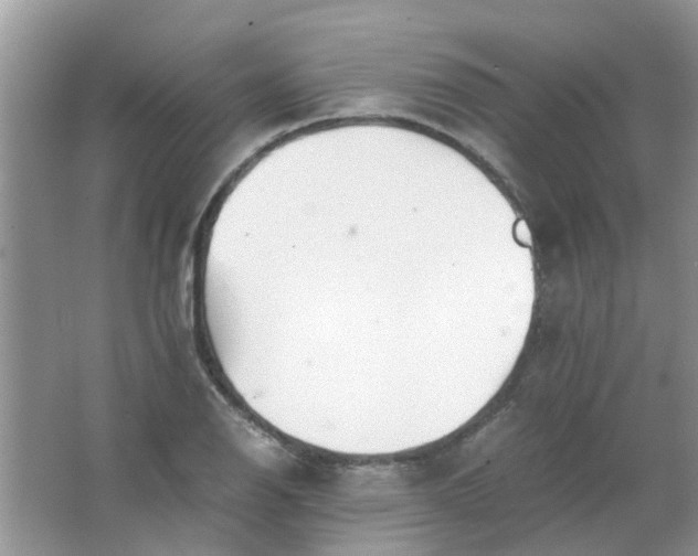 X0000067001126200604072142