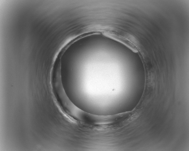 X0000067001128200604072142