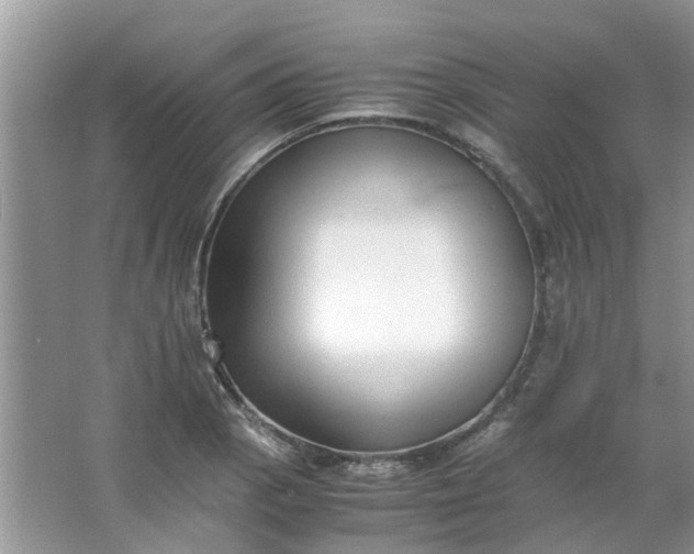 X0000067001129200604072142