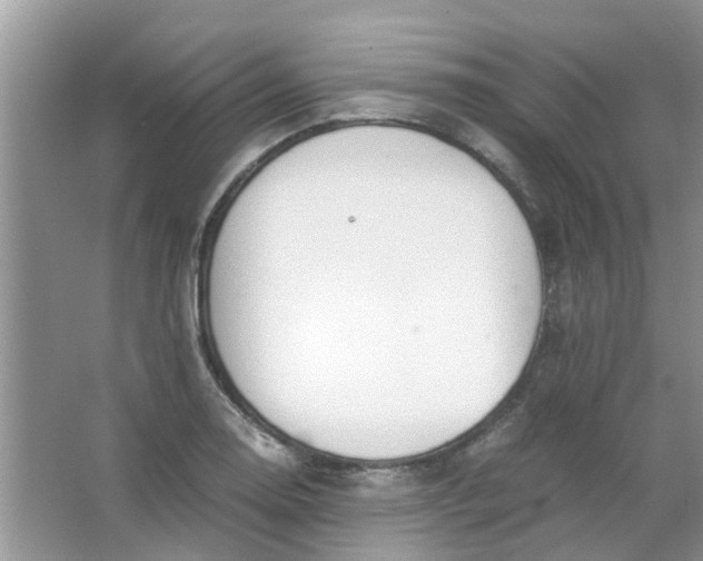 X0000067001130200604072142