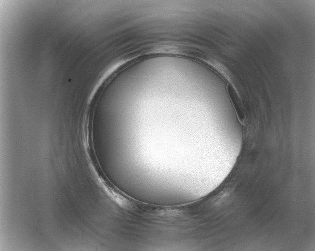 X0000067001131200604072142