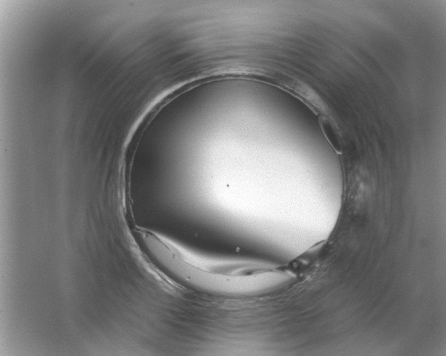 X0000067001132200604072142