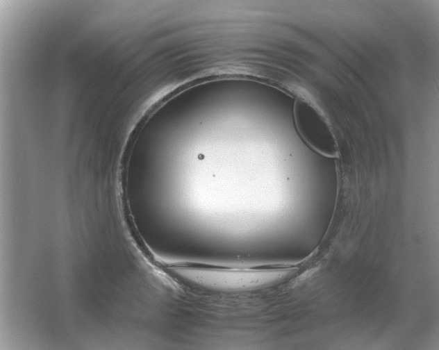 X0000067001133200604072142