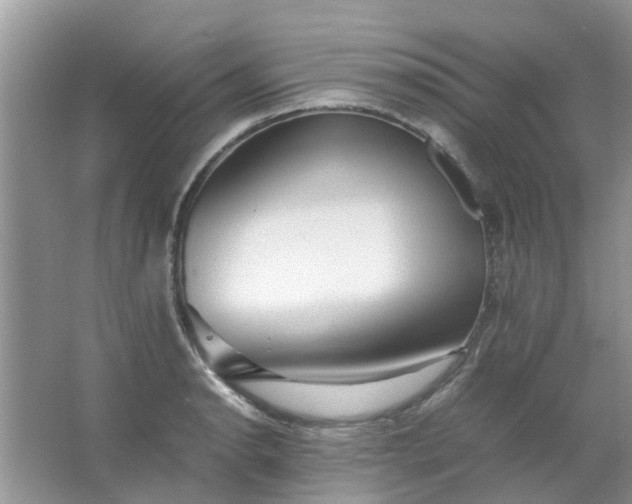 X0000067001134200604072142