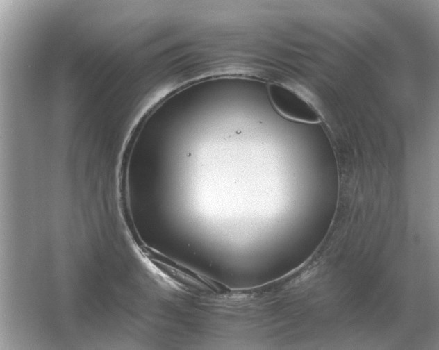 X0000067001135200604072142