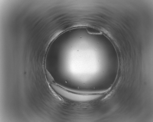 X0000067001137200604072142