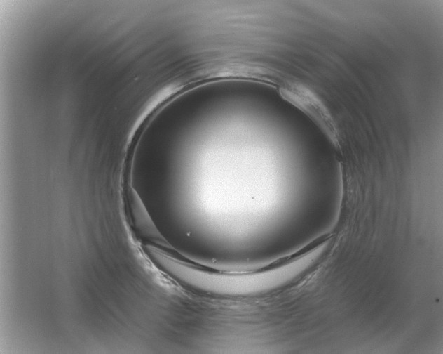 X0000067001138200604072142