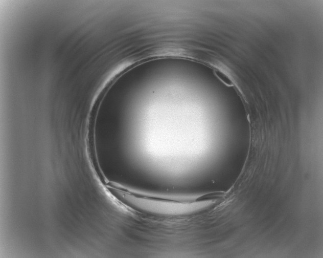 X0000067001139200604072142