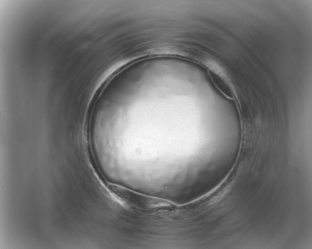 X0000067001141200604072142