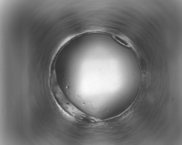 X0000067001143200604072142