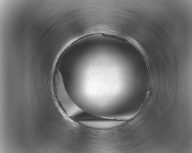 X0000067001144200604072142