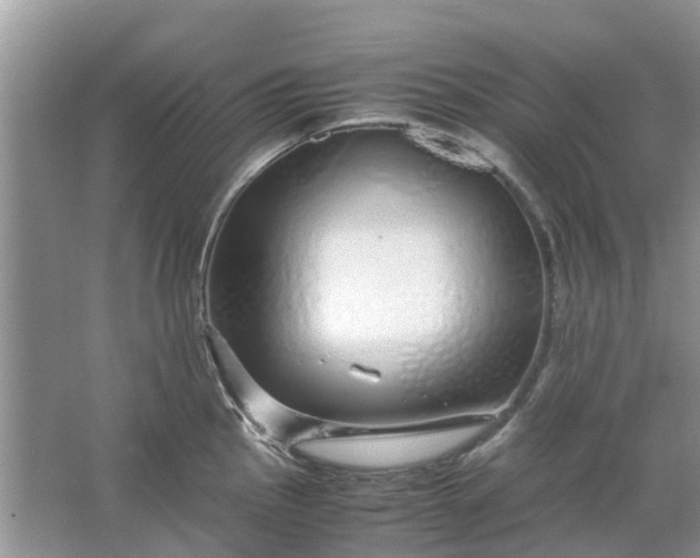 X0000067001145200604072142