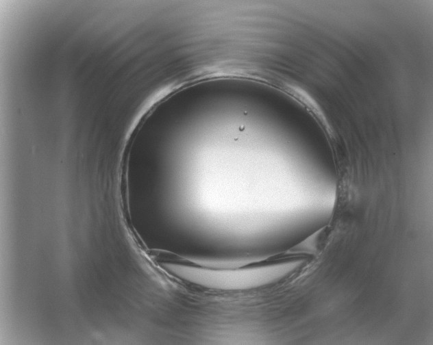 X0000067001146200604072142