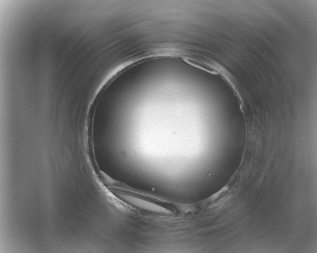 X0000067001147200604072142