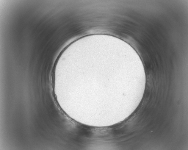 X0000067001150200604072142