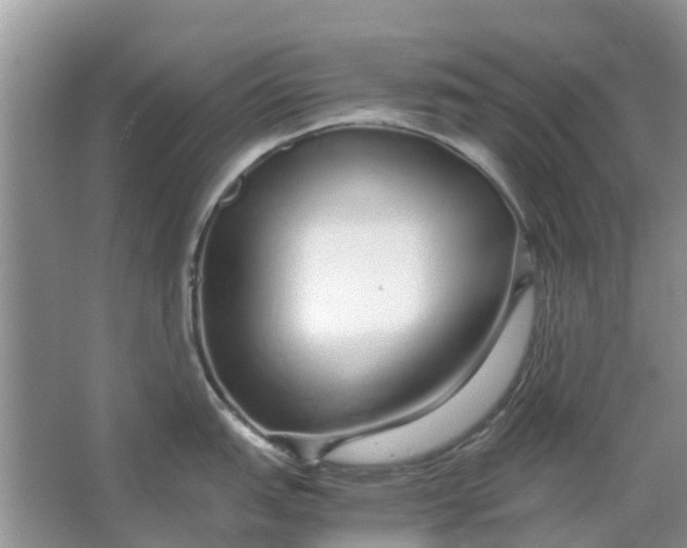 X0000067001151200604072142