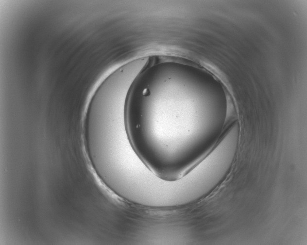 X0000067001152200604072142