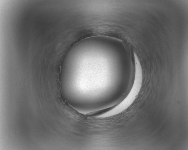 X0000067001153200604072141