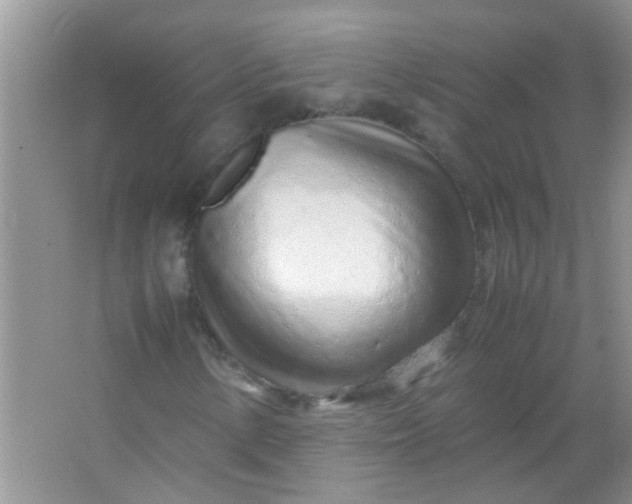 X0000067001154200604072141