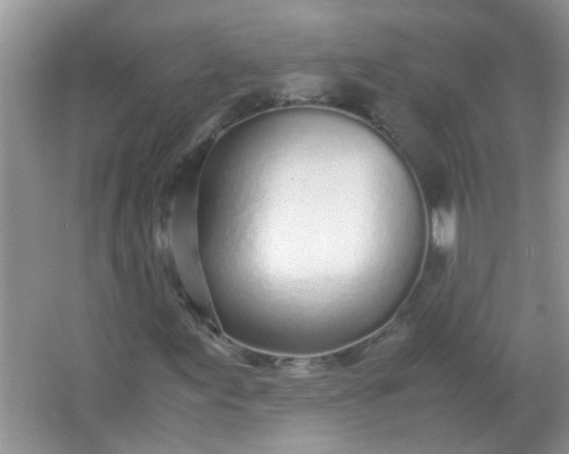 X0000067001155200604072141