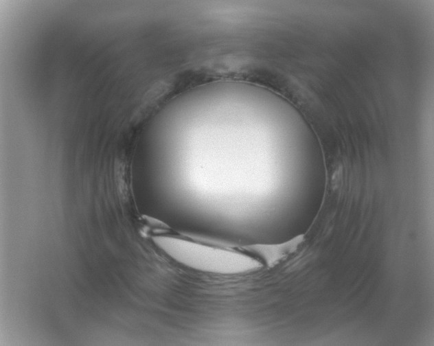 X0000067001156200604072141