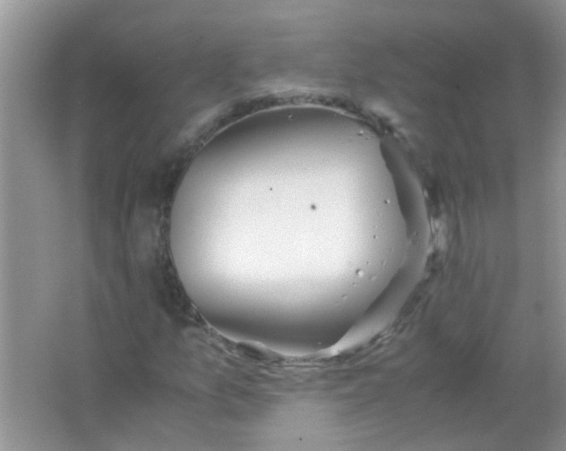 X0000067001157200604072141