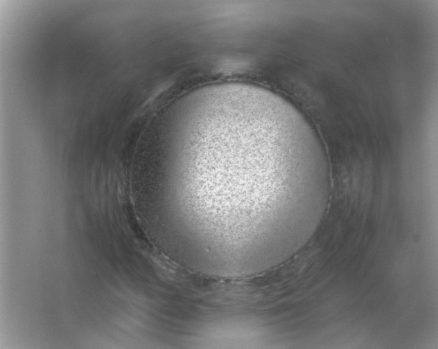 X0000067001158200604072141