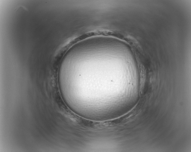 X0000067001159200604072141