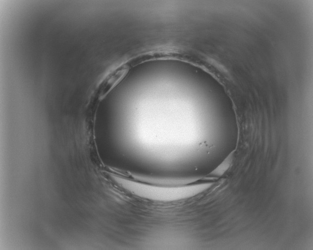 X0000067001160200604072141