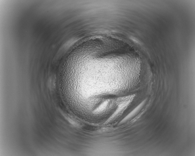 X0000067001161200604072141