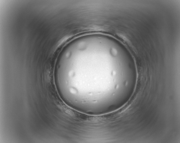 X0000067001163200604072141