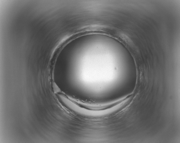 X0000067001164200604072141