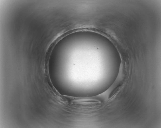 X0000067001165200604072141