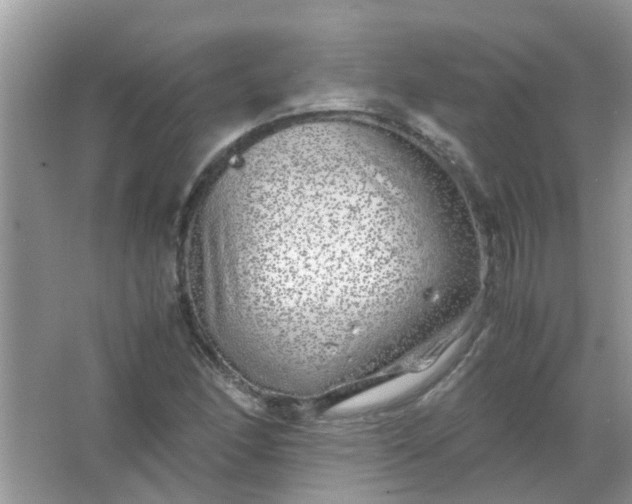 X0000067001166200604072141