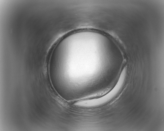 X0000067001167200604072141