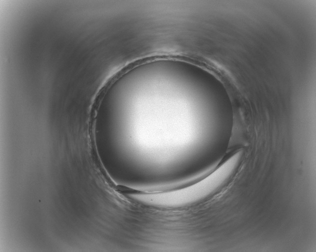 X0000067001168200604072141