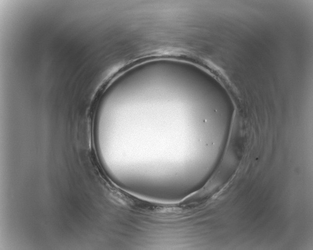 X0000067001171200604072141