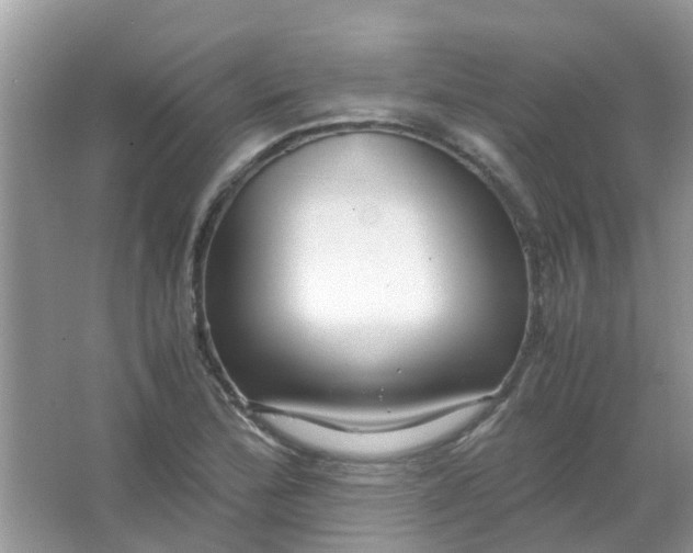 X0000067001172200604072141