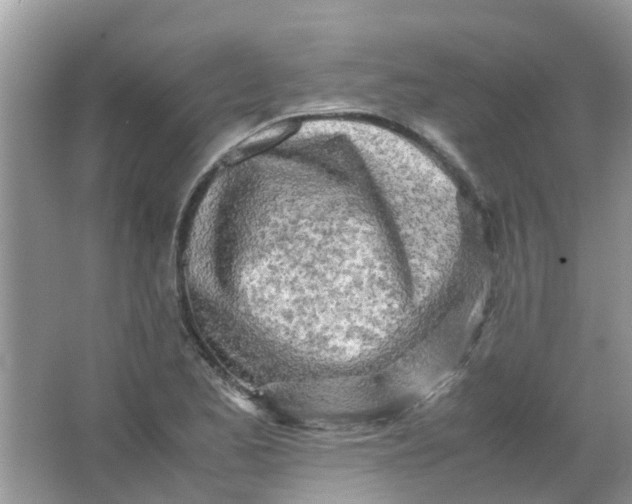 X0000067001173200604072141