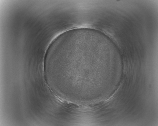 X0000067001174200604072141