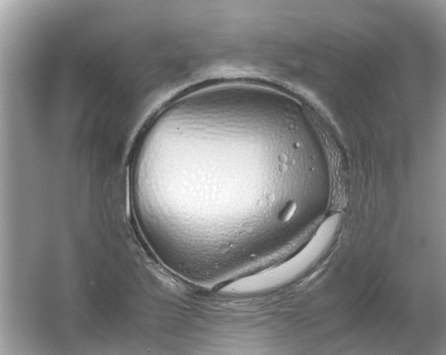 X0000067001175200604072141